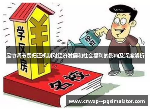 足协调节费归还机制对经济发展和社会福利的影响及深度解析 足协调节费归还机制对经济发展和社会福利的影响及深度解析
