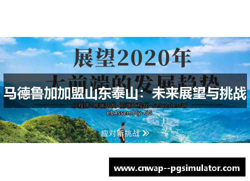 马德鲁加加盟山东泰山：未来展望与挑战