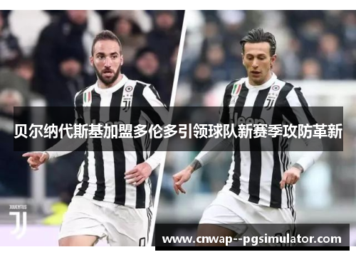 贝尔纳代斯基加盟多伦多引领球队新赛季攻防革新 贝尔纳代斯基加盟多伦多引领球队新赛季攻防革新