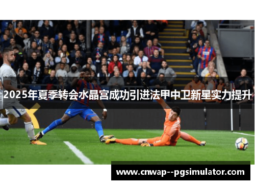 2025年夏季转会水晶宫成功引进法甲中卫新星实力提升 2025年夏季转会水晶宫成功引进法甲中卫新星实力提升