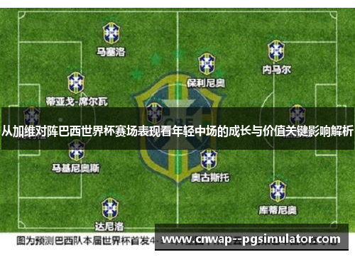 从加维对阵巴西世界杯赛场表现看年轻中场的成长与价值关键影响解析