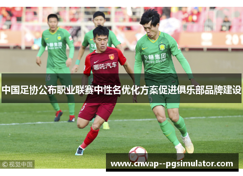 中国足协公布职业联赛中性名优化方案促进俱乐部品牌建设