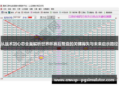 从战术到心态全面解析世界杯赛后复盘的关键得失与未来启示路径