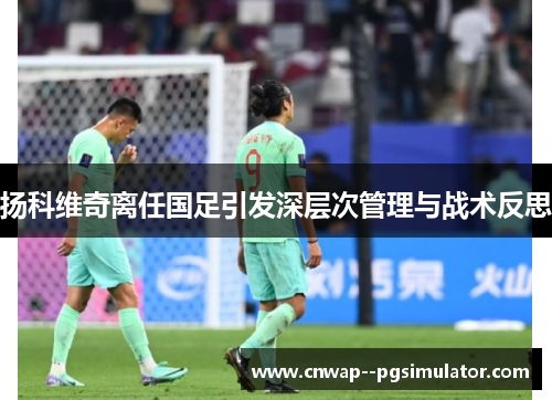 扬科维奇离任国足引发深层次管理与战术反思