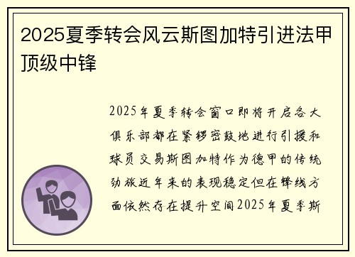 2025夏季转会风云斯图加特引进法甲顶级中锋 2025夏季转会风云斯图加特引进法甲顶级中锋